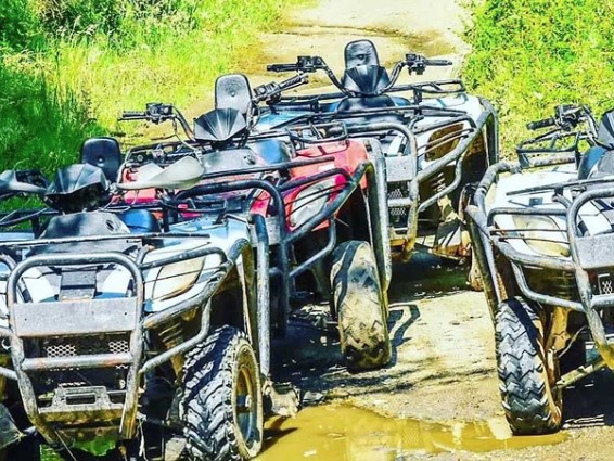 Atv Safari